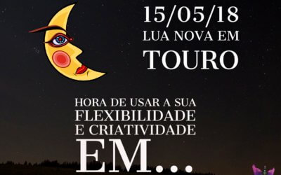 LUA NOVA EM TOURO