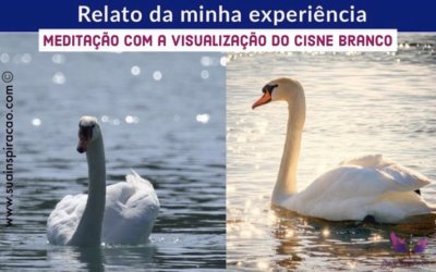 Meditação com a visualização do Cisne Branco